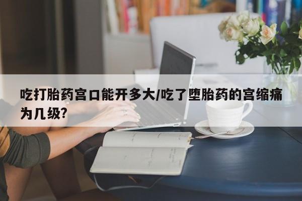 网上如何购买堕胎药吃打胎药宫口能开多大/吃了堕胎药的宫缩痛为几级?