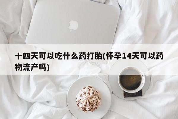 网上如何购买堕胎药十四天可以吃什么药打胎(怀孕14天可以药物流产吗)
