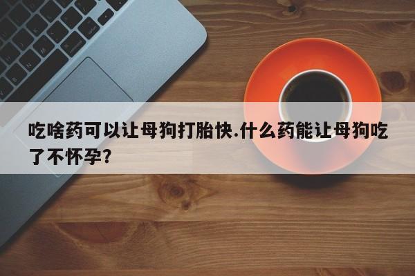 网上如何购买堕胎药吃啥药可以让母狗打胎快.什么药能让母狗吃了不怀孕？